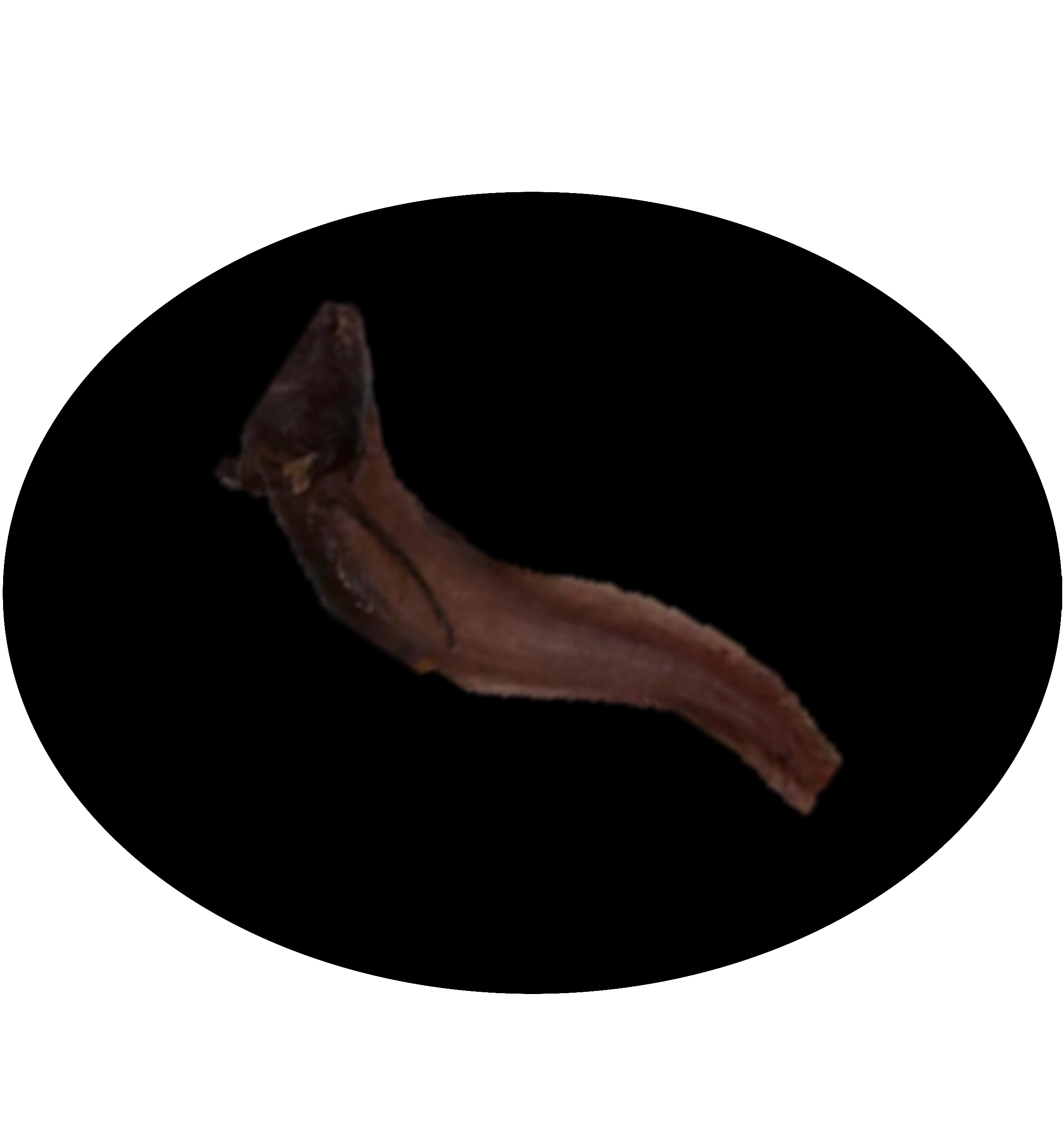 Bsp2