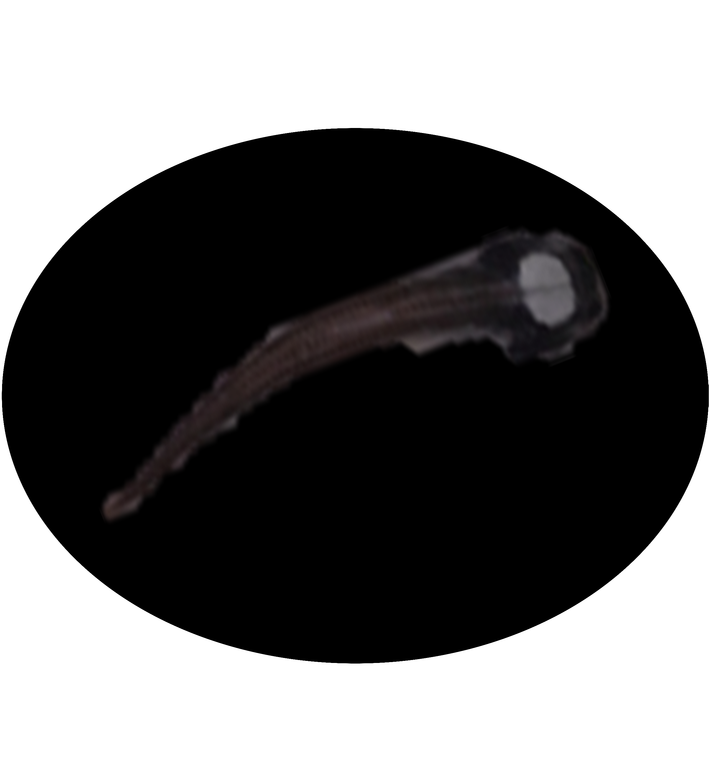 Isp